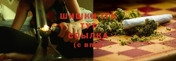 шишки Майский