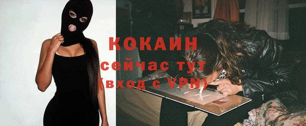 шишки Майский
