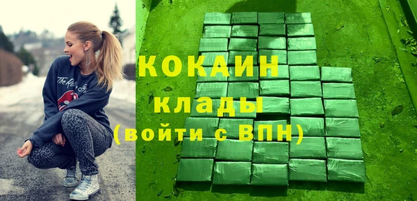 шишки Майский