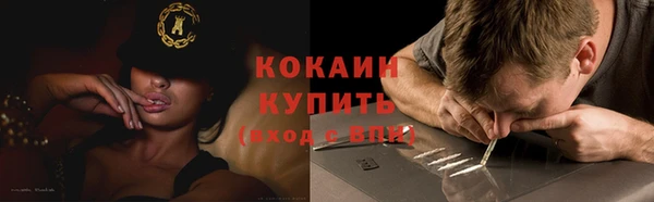 шишки Майский