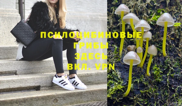 соль ск Магас