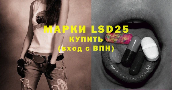 шишки Майский