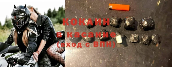 шишки Майский