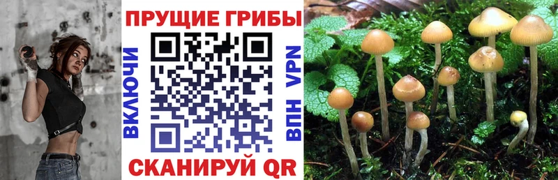 сколько стоит  Реутов  МЕГА ссылки  Галлюциногенные грибы MAGIC MUSHROOMS 
